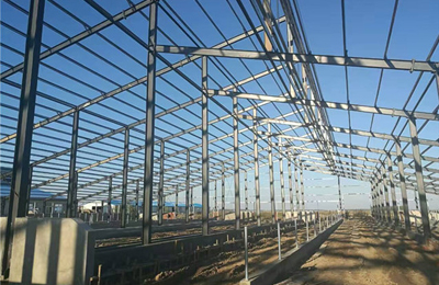 富足宏地奶牛合作社6000平