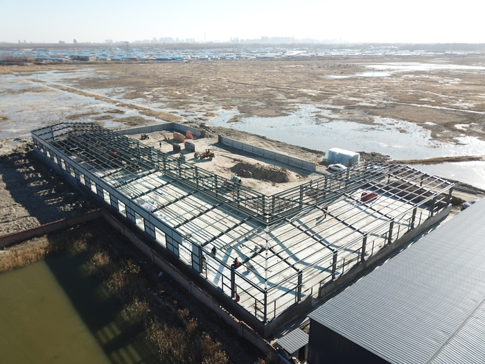 首页- J9集团国际站官网入口