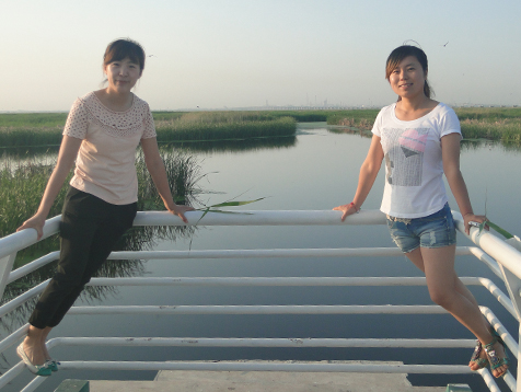 首页- J9集团国际站官网入口