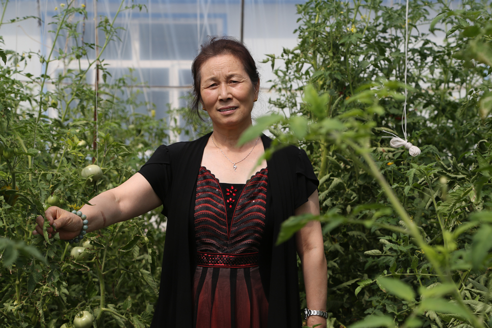 首页- J9集团国际站官网入口