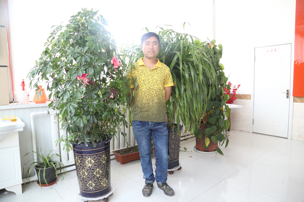 首页- J9集团国际站官网入口