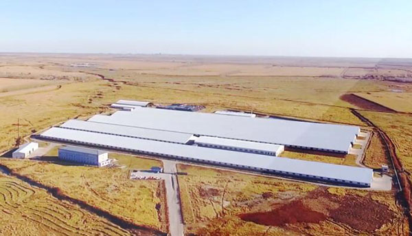 首页- J9集团国际站官网入口