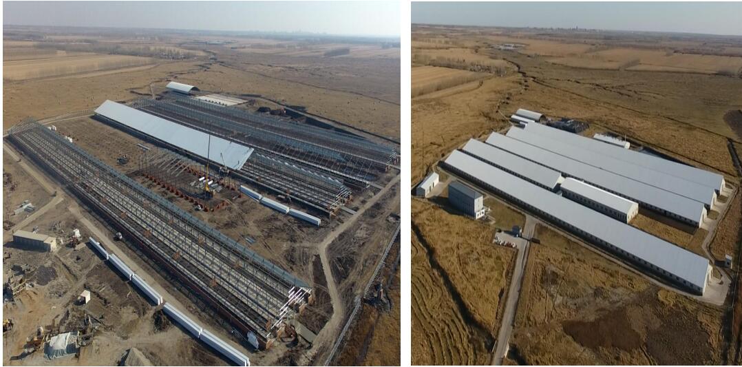 首页- J9集团国际站官网入口